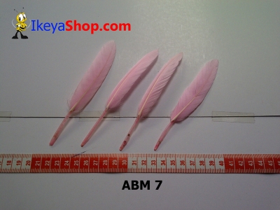 bulu angsa mini ABM 7   feather  large2